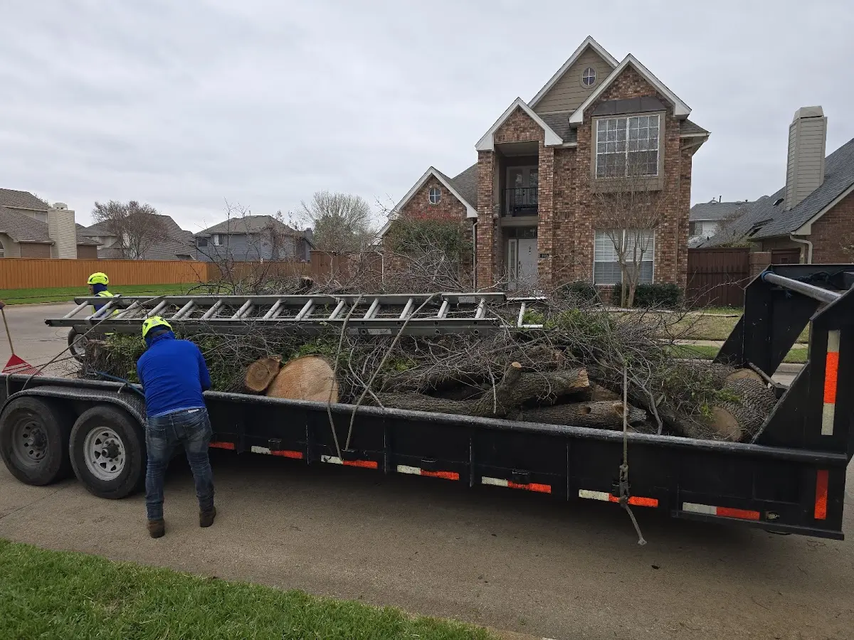 Expert Tree Removal with proper safety equipment in Elm Grove